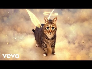 XertXetin - OIIA OIIA HEAVEN Spinning CAT (Official Music Video)