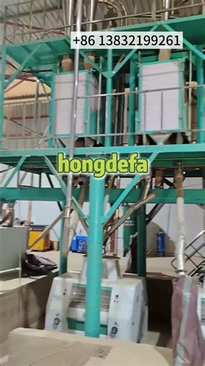Inside a Professional Maize Milling Plant | From Grain to Flour #hongdefa #foodprocessing #factory
