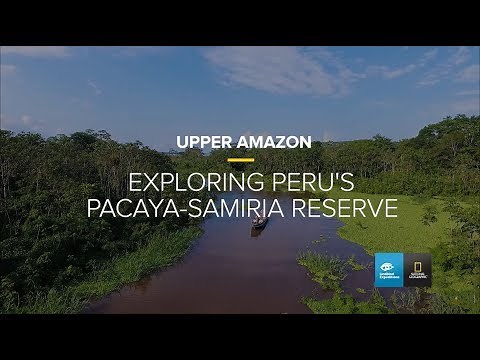 Wildlife | Amazon | Lindblad Expeditions-National Geographic