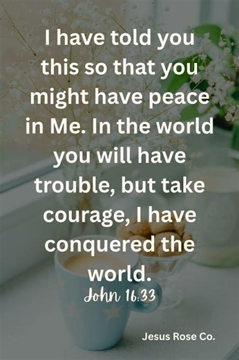 Catholic Bible Study | John 16:33 | Jesus Rose Co. ✝️