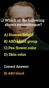 Codominance Explained in 25 Seconds | ABO Blood Group Genetics Quiz | Biology Shorts