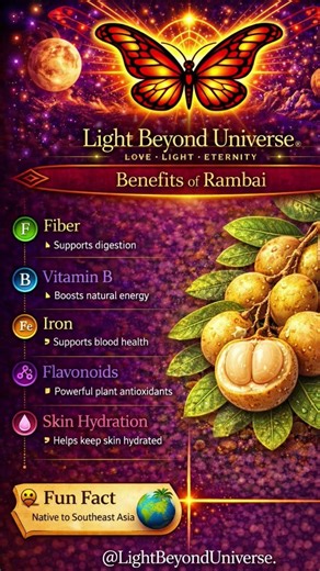 Rambai 🍇 | A Rare Tropical Fruit From Southeast Asia