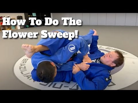 BJJ For Beginners: How to do the Flower Sweep in Brazilian Jiu Jitsu (2020 Tutorial)