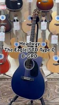 【接写動画】 Headway The Eagle/STD Type C B-GRD #ギター #guitar