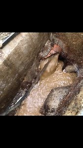 53K views · 2.5K reactions | 襤 porridge | J&F Drainage | Facebook