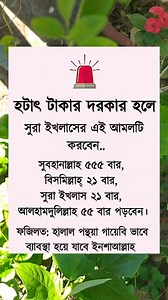 4.2M views · 34K reactions | The history of #photography began with...