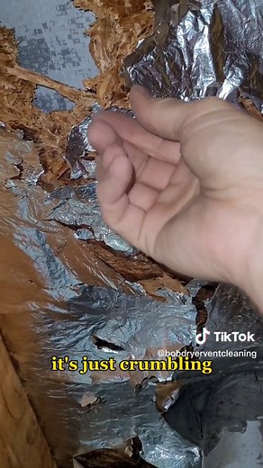 Make sure you have the proper dryer vent cover on your roof! #waterdamage #roof #safety #bobdryerventcleaning #dryerventcleaning #dryervent #ventcleaning #mckinneytx #homemantainance #homeowner