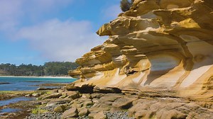 Exploring the amazing Painted Cliffs on Maria Island. The mesmerising patterns are caused by ground water percolating through the sandstone and leaving traces of iron oxide, which have painted the rock formation. You will find the Painted Cliffs about 2km south of Darlington. If you're planning a visit to Maria Island, put this on your list. And it's best to visit at low tide. 👉 bit.ly/mariaisland ... Tasmania Parks and Wildlife Service | East Coast Tasmania