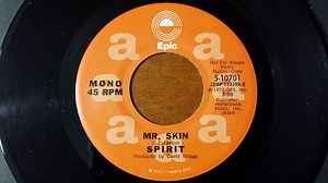 Spirit - Mr Skin