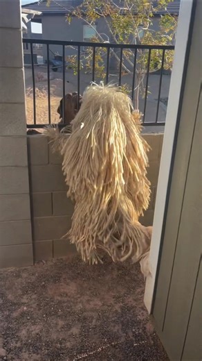 It will look like a fancy cloth from a distance 😱