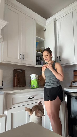 37K views · 1.1K reactions | I’m a first time cat owner. Is this standard orange cat behavior? #catowner #orangecat #petsoftiktok #petlover #dogsoftiktok | Ciara, RN | Facebook