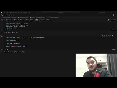 Learning PyTorch From Scratch | Tensors, Gradients & Training Neural Networks