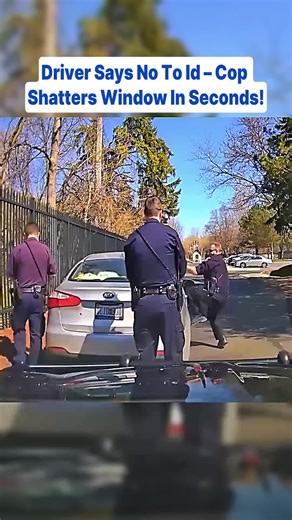 Confrontation During Traffic Stop: Cop Breaks Window
