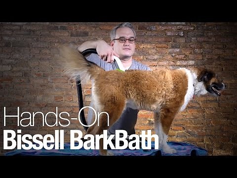 Hands-on with the BarkBath, a portable dog-washing machine