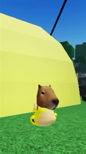 capi super sonic💛⭐⭐⚡⚡💛