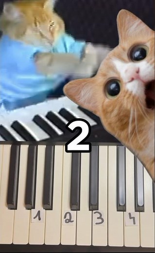 Piano - Keyboard Cat meme song #piano #memes