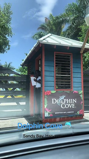 Experience Exciting Adventures at Dolphin Cove in Sandy Bay, Hanover
