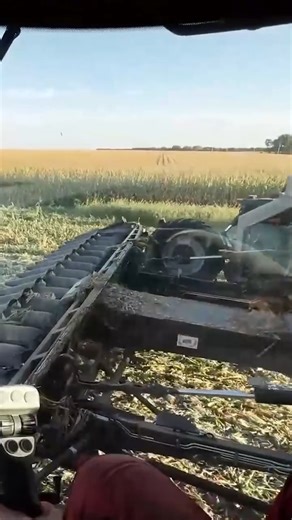 Testing The Future Of Farming 🚜🌽 | Laura Farms