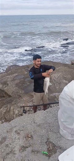 ¡Pesca Sorpresa! Corvina Gigante en la Escollera de Alfoncina, Mar del Plata