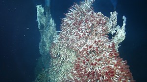 Deep Sea Volcanic Vents Could Provide Clues About Alien Life