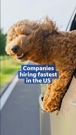 Need a Job Fast? Top Companies Hiring Right Now | #Indeed