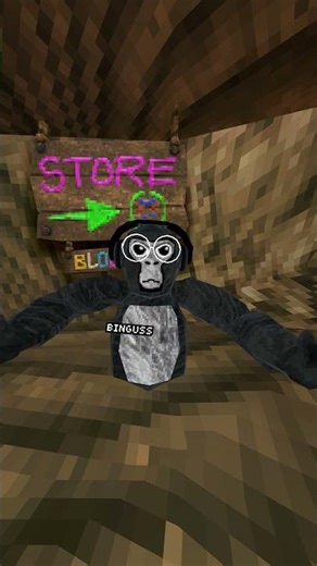 My Gorilla Tag DISCORD Server #hospitalflip #toxicplayer #gorillatag #juke #vr