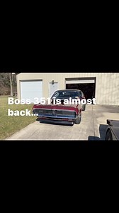 Tim Halstead on Reels