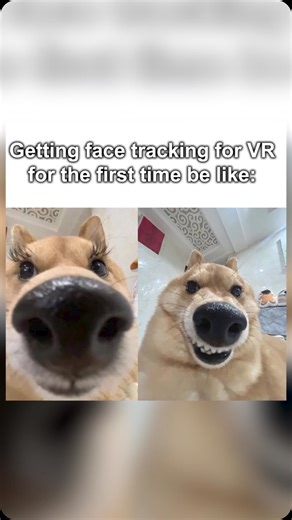 When you finally get full-face tracking in VR!  Virtual reality becomes even more immersive when you add face tracking. What fun faces will you try? Be sure to check out Facial Tracker for VIVE Focus Series if you‘re interested in VIVE Focus Vision or VIVE Full Face Tracker if you prefer VIVE XR Elite. #vr #virtualreality #vrchat #htc #vive #headset #focus3 #xr #track #funny | HTC India | Facebook