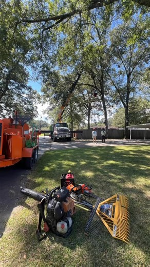 Louisiana Tree Pro on Reels