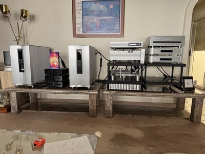 VTL Siegfried Vacuum Amplifier Ultra-low hours! New crates, All accssories inclu | eBay