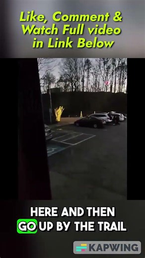 I Explored Gainesville GA's BEST Holiday Lights on Wilshire Trail