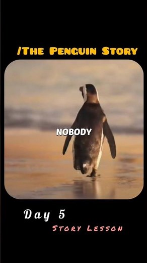 Documentary The penguin🐧* #edit #documentary #penguin
