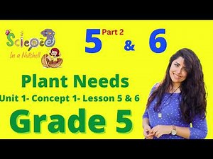 Science in a Nutshell for Junior Students