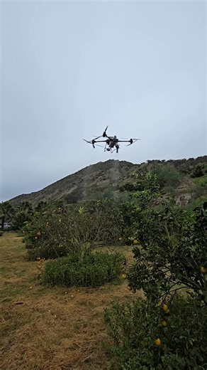 Fortalecemos las capacidades de nuestros productores a través de procesos de formación como pilotos de drones, incorporando tecnología de precisión al servicio del agro. Esta iniciativa coordinada por el #MAGP, Ministerio de Ambiente y Energía de Ecuador y PNUD Ecuador, a través del proyecto #FARMEcuador impulsa la innovación en el campo, optimiza el uso de insumos, mejora el monitoreo de cultivos y contribuye a una producción más eficiente. #ElNuevoEcuador | Ministerio Agricultura, Ganadería y 