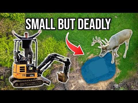 Is This the Best Small Property Upgrade for Deer Hunting?
