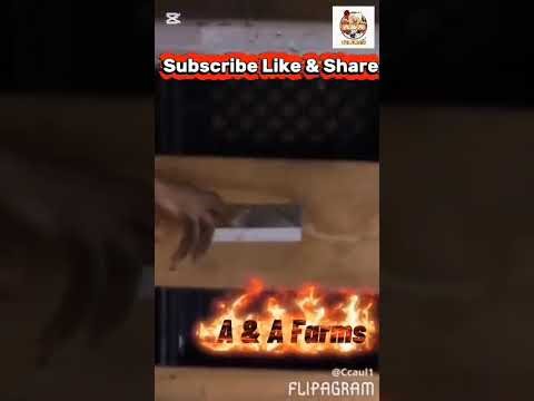 Pigeon Nest boxes made out of milk crates and plywood ( cheap and simple)