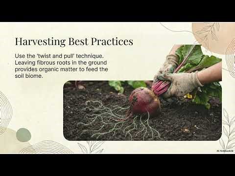 The No-Dig Revolution: How to Grow More with Less Work