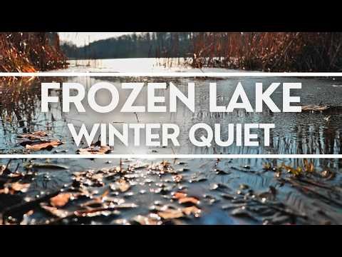 Frozen Lake in Winter • Quiet Nature Silence Soundscape