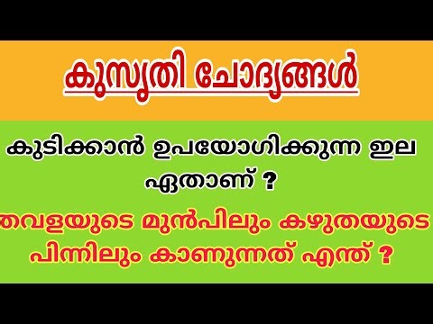 😂കുസൃതി ചോദ്യങ്ങൾ | Logic & Funny IQ Puzzles in Malayalam | Brain Teaser Questions”🔥🔥🔥
