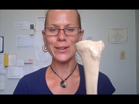 Human Anatomy 1 Lab: Left Tibia