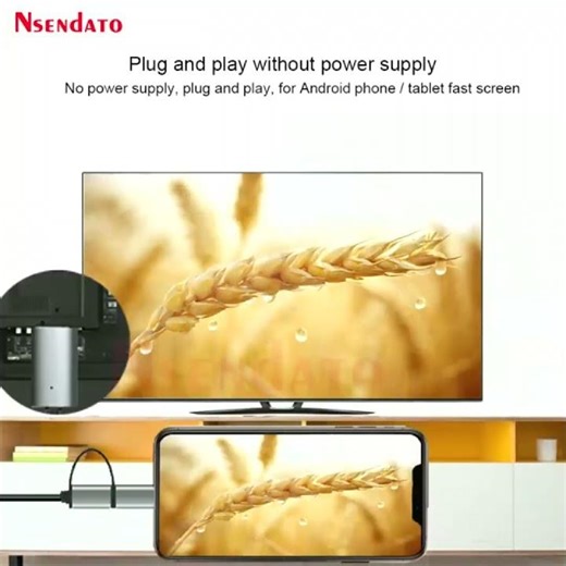 Mirascreen LD39 Wire HDMI-Compatible Streaming Display Dongle TV Stick Adapter USB Type C Cable Plug