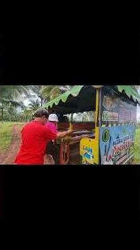 wisata alam buah segar, petik lengkeng sepuasnya