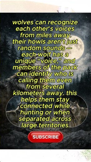 Wolves are capable of eating everything #documentary #history #news