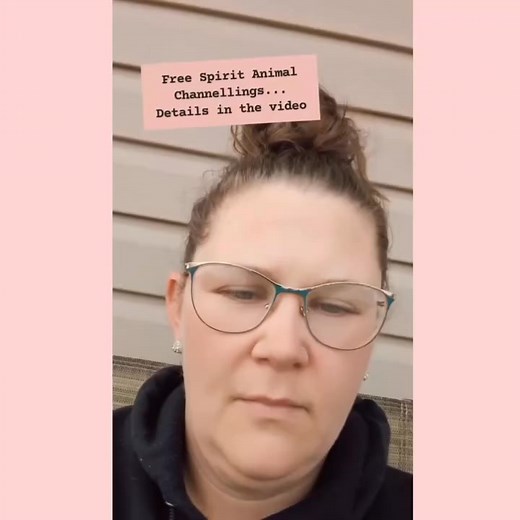 Watch the video for instructions on how to get your free channeling! I'll do as many as Spirit Guides me to thought the day! If you'd like to book a reading with me! Send me a DM and use code "Spirit Animal11" to get 20% off. #spiritanimalmessages #animalchannelling #messagesfromabove #getyours #free | Surprise Your Spirit