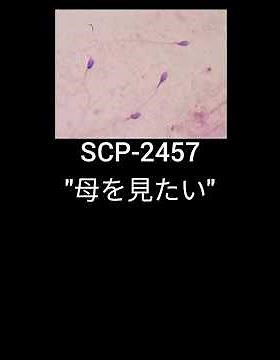SCP-2457: 母を見たい (" jaja o mitai ") #fundaciónscp #SCP2457
