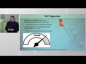 How do our serotonergic receptors work?