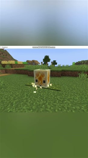 Sulfur Cube Vibing #minecraft #minecraftmemes #minecraftshorts #イガク