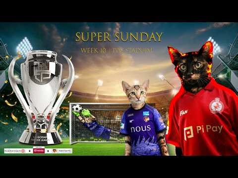 Funny Cat Playing Football | Cutest Kitten Skills Ever! Part 2