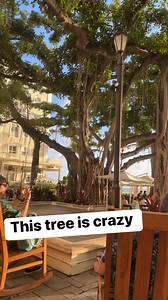 57K views · 107 reactions | What kind of tree is this? | Adam Trent | Facebook