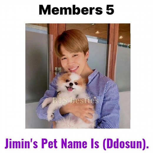 💜BTS Members Pets And Their Name 💕 | BTS | #bts #btsarmy #army #btsshorts #shorts #shortvideo #jimin